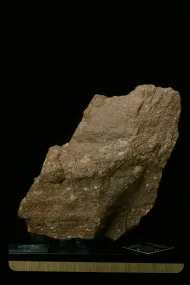 Sandstone (NMNH 116619-6)::10954345
