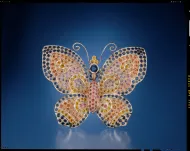 Conchita Sapphire Butterfly (NMNH G10539)::10779270
