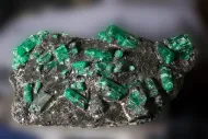Beryl (var. emerald) (NMNH 176125)::11086523